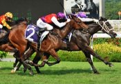 War Affair holds off the late charge of Desert Fox<br>Photo by Singapore Turf Club